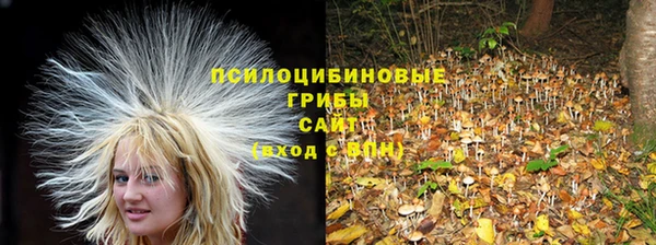 марихуана Белокуриха