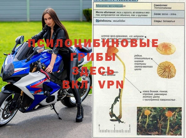 ешки Беломорск