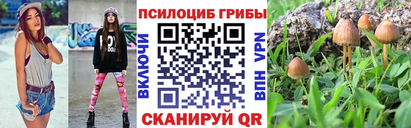 Купить закладки  Волчанск  Галлюциногенные грибы Magic Shrooms 
